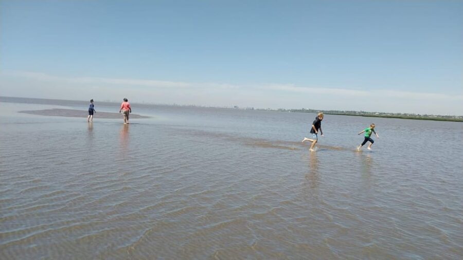 Tigre: Safari Náutico en Tigre/ Biosphere Reserve Boat Tour - Price and time: what $150 gets you (and what it doesn’t)