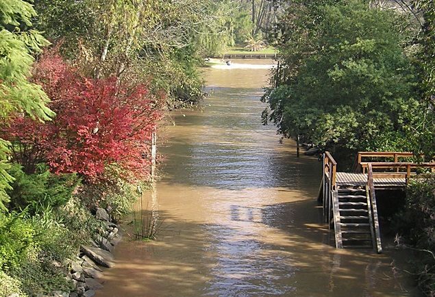Tigre with Lunch overlooking the River and Navigation - Should You Book? My Straight Answer