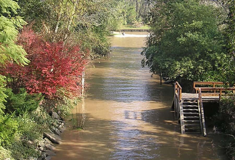 Tigre with Lunch overlooking the River and Navigation - Who Should Book This Tigre Delta Tour
