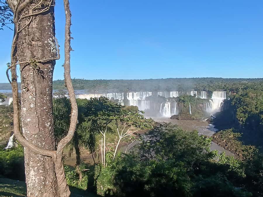 Tour Privado -Iguazú Falls Argentinean side + opção de barco - Jungle Train to Devil’s Throat: where the day goes from pretty to powerful
