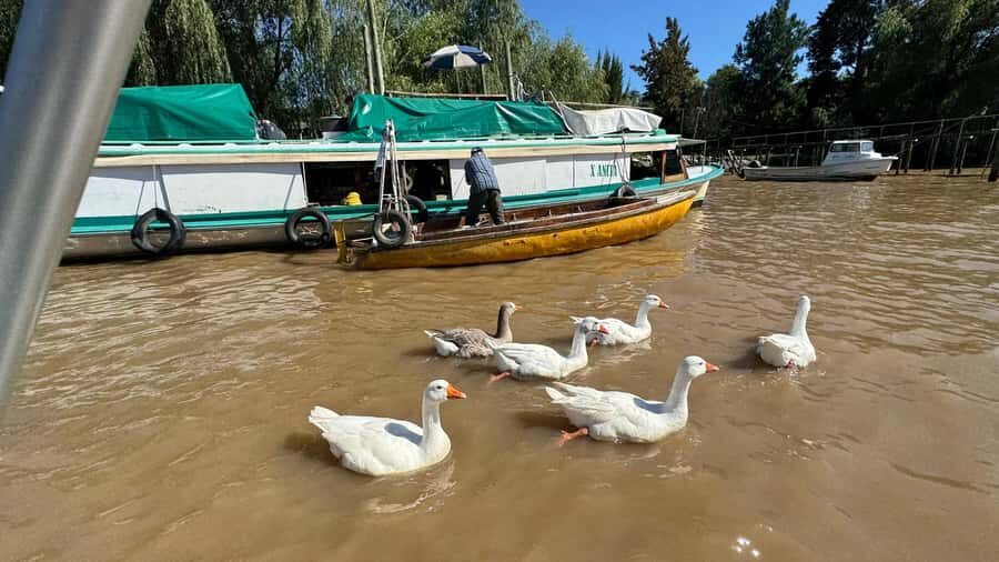 Unique Tigre and Delta Private Day Cruise Navegation - Getting from Buenos Aires to San Isidro: the calmer start you need
