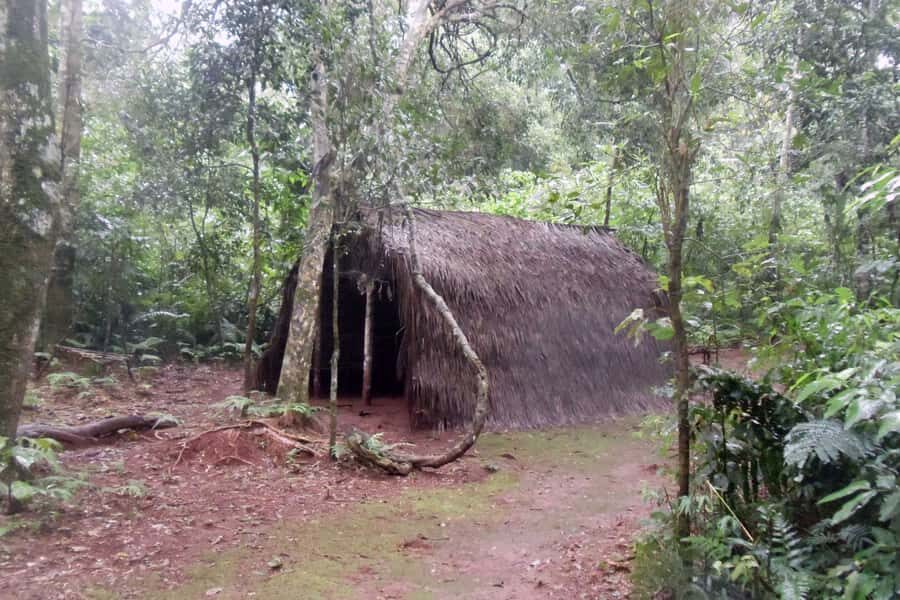 Visit Guarani village at Mborore Fort with brunch - Should you book the Guarani village brunch tour?